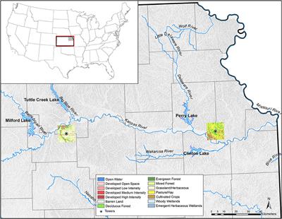 Understanding the impact of vegetation dynamics on the water cycle in the Noah-MP model